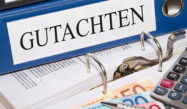 bild_start_gutachten_geklaut bild start gutachten geklaut